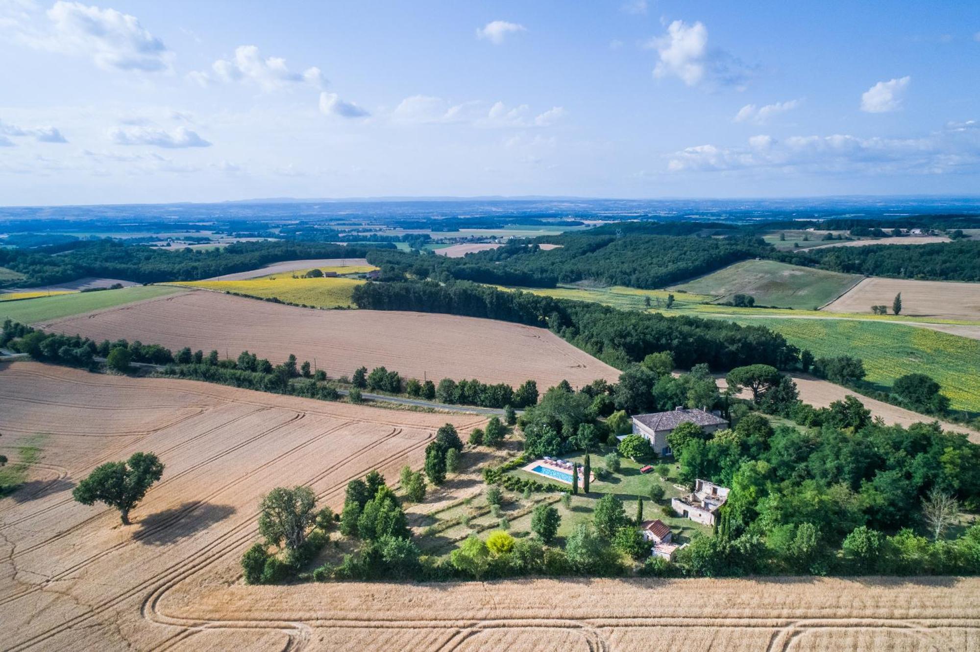Parisot  Au Mas Des Calmettes Bed & Breakfast エクステリア 写真